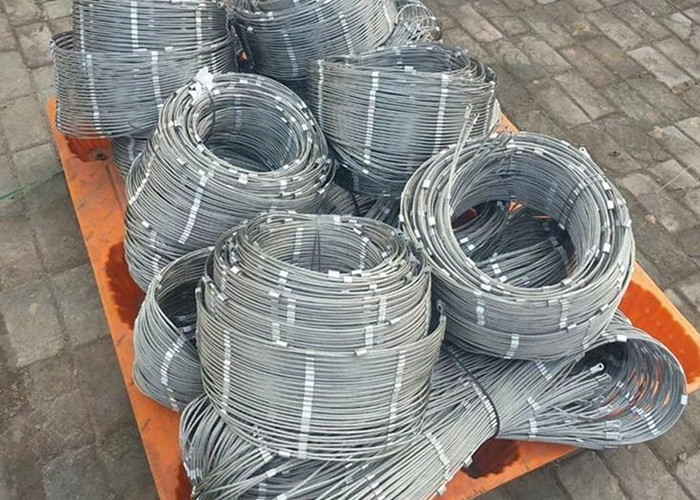 Animals Enclosure Ferruled SS Fence Mesh Wire Rope Net