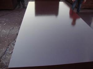 China 17mm dynea shuttering plywood film faced plywood manufacturer wholesale