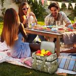 Cute Insulated Cooler Tote Bag Beach Beverage Sport Camping Freezer 15X10X10"