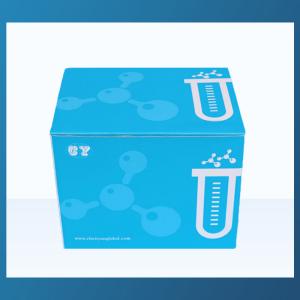 China Magnetic Bead Based DNA Extraction Kits Medical Laboratory Reagent wholesale
