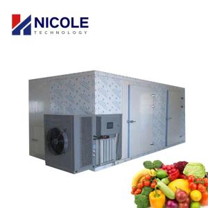 China Commercial Fruit Vegetables Hot Air Drying Machine With Heat Pump wholesale