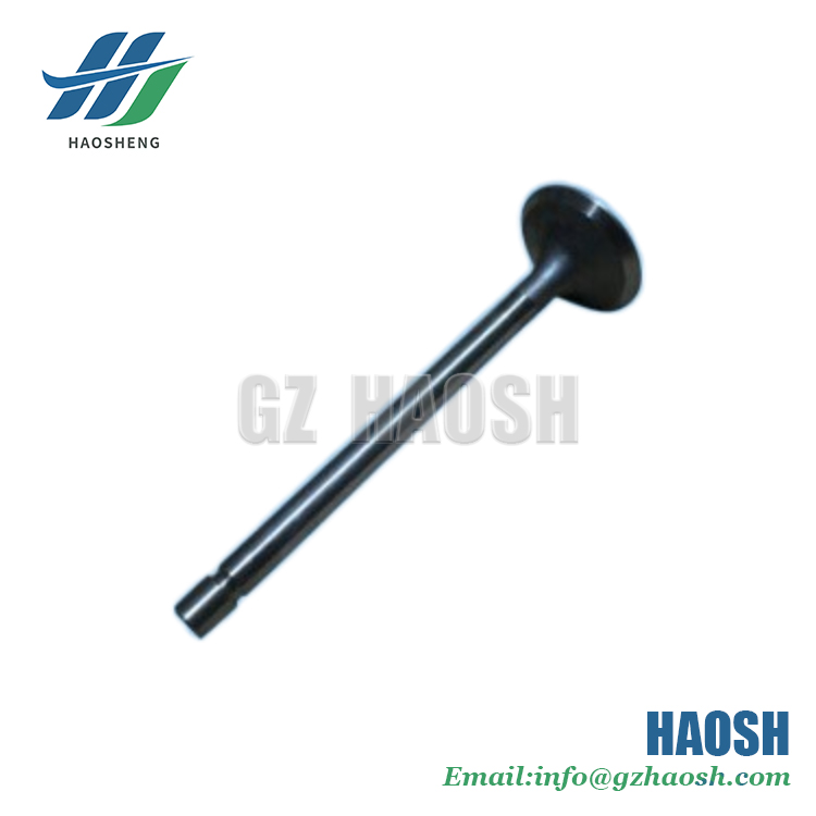 FOR JMC VIGUS CN3-6507-AG Intake Valve CN3 6507 AG