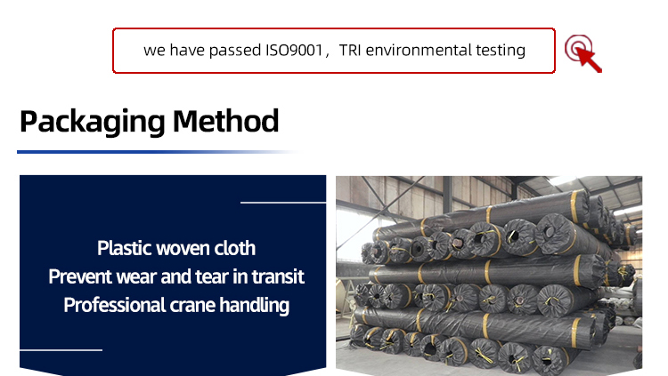 CE Certified HDPE Black Anti-Seepage Geomembrane for Industrial Design Style Landfill