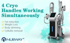 China cryolipolysis fat freeze treatments freezing fat cells reviews beauty device wholesale