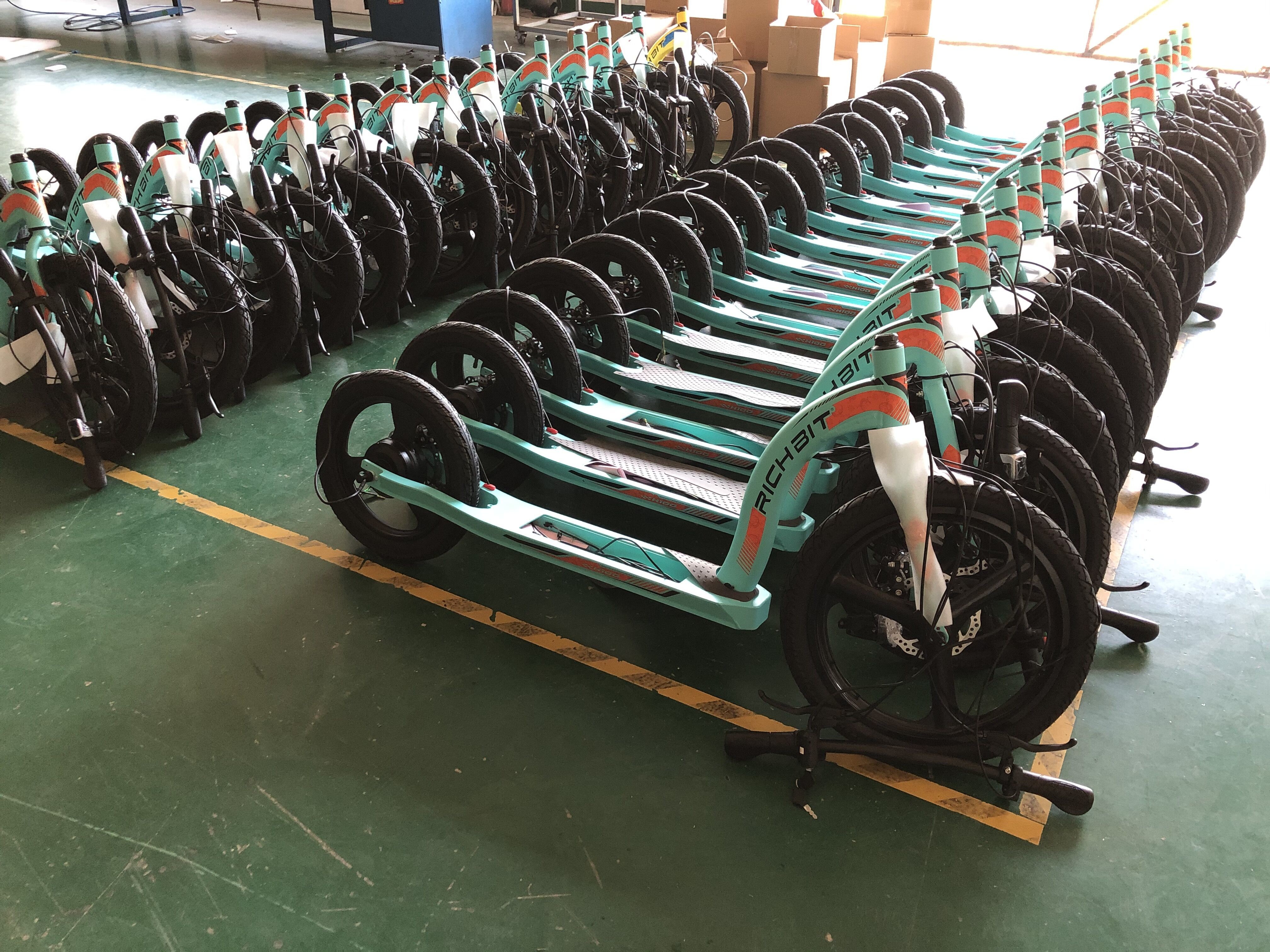 36v 10Ah 2 Passenger Electric Scooter Cycle Lightweight Electric Mobility Scooter