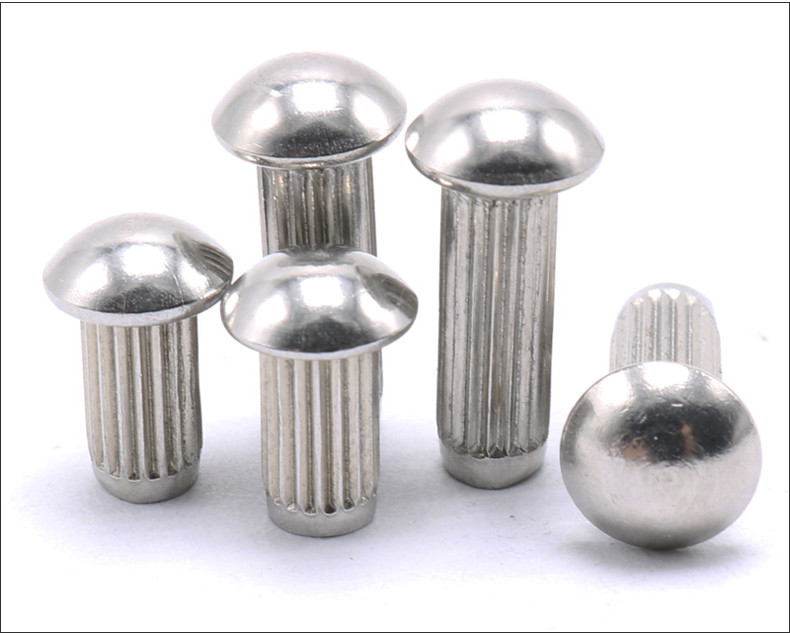 Stainless Steel Round Head Knurling Rivets Pan Head Rivets for Name Plate Round Head Knurled Rivets