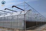 Agricultural Galvanized Steel Multi Span Greenhouse For Vegetable Cultivation