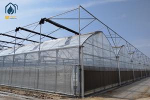China Agricultural Galvanized Steel Multi Span Greenhouse For Vegetable Cultivation wholesale