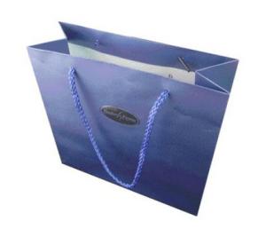 China Most popular Paper Carrier Bags for shopping wholesale