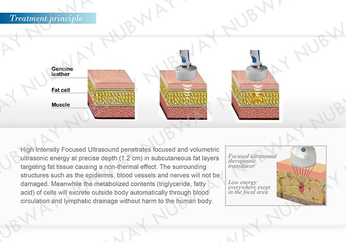 HIFUSHAPE body slimming machine best fat removal procedure