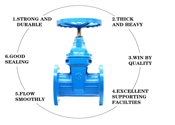 1/2" 12" Flanged End Stainless Steel Gate Valve DN50 Class 150lb Class 1500lb