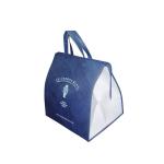 Non woven cooler bag/non woven bag