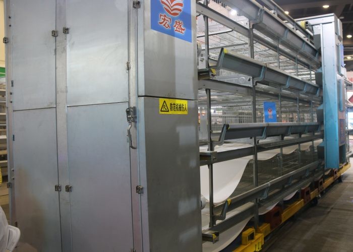 5 Tiers Poultry Automation Equipment Customized Size ISO Certification