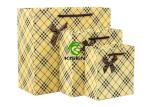 Decorative Coloured Paper Bags With Handles , Carton Flat Handle Paper Bags