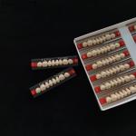 CE ISO High Durability Dental Acrylic Resin Teeth Dentadura Posteriors Upper