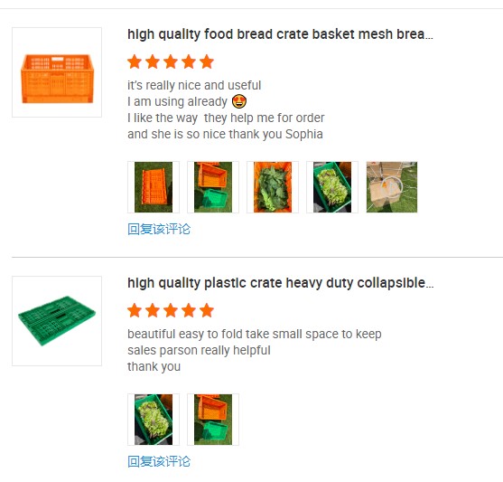 Convenient Handle Collapsible PP Fruit Vegetable Seafood Crates for Easy Storage