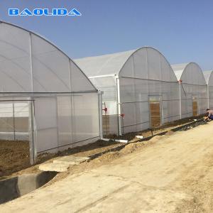 China Agricultural Commercial Industrial Plastic Multi Span Greenhouse For Tomato Planting wholesale