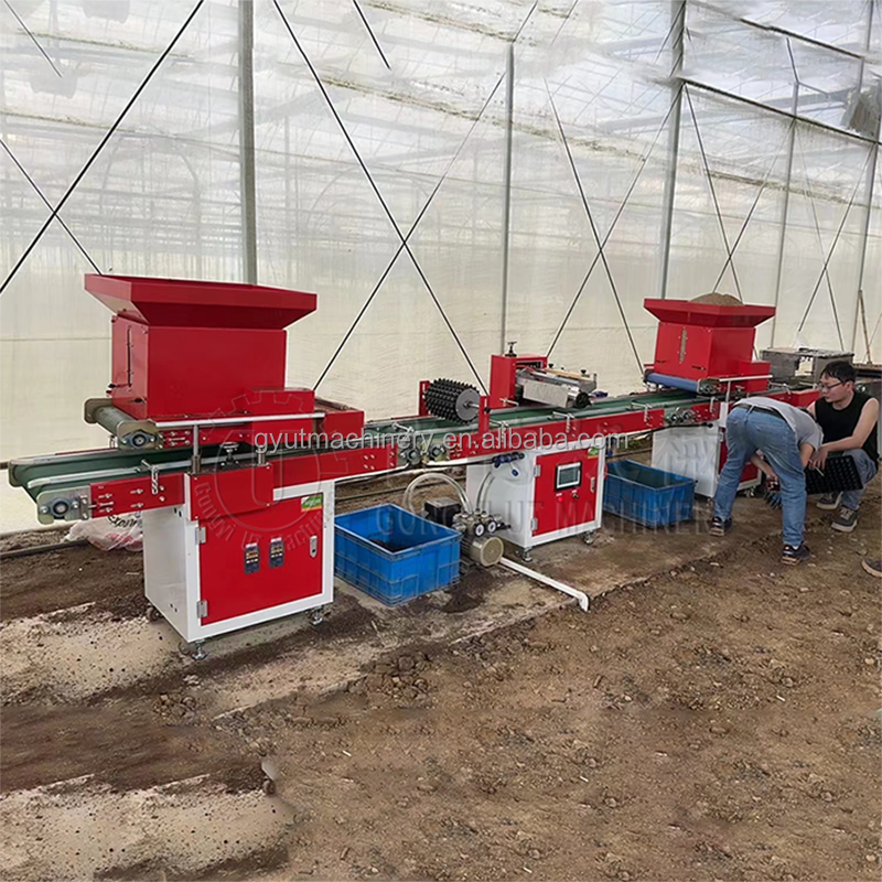 Stainless Steel Tray Tomato Seeding Machine Vacuum Seeder with Precision Planter