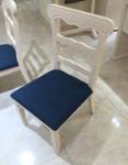 European Contemporary Style Furniture /Dinningroom Furniture / Dinning Chair