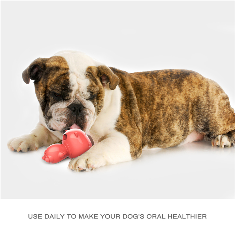 Hot Sales Custom Cute Pig Style Animal Rubber Teeth Cleaning Molar Bite Puppy Dog Chews Toy