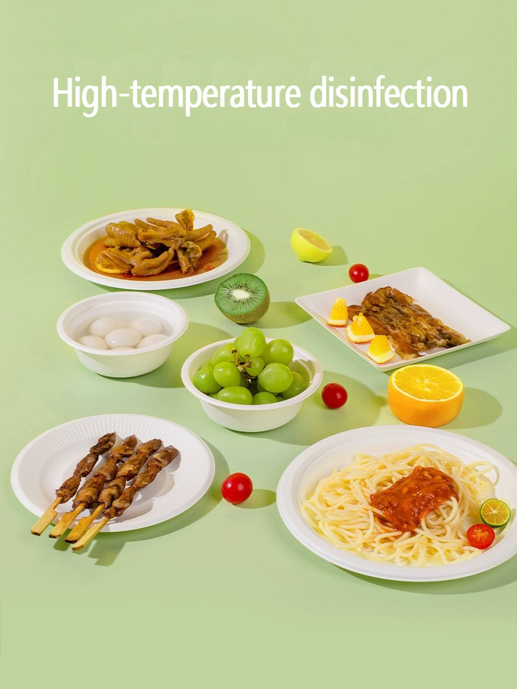 Eco-friendly Pulp Burger Box Clamshell Tableware Set Bagasse Takeaway Box Biodegradable Food Packing Container