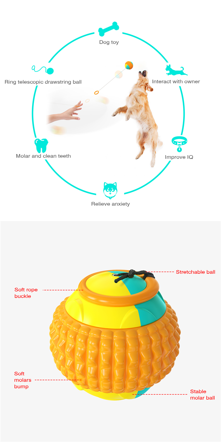 Suction Cup Push Elastic Ropes Pet Tooth Cleaning Chewing Playing Puppy Cats Indestructible Dog Toy