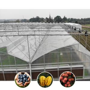 China Tropical Climate Custom Size Poly Tunnel Plastic Film Agricultural Sawtooth Greenhouse wholesale