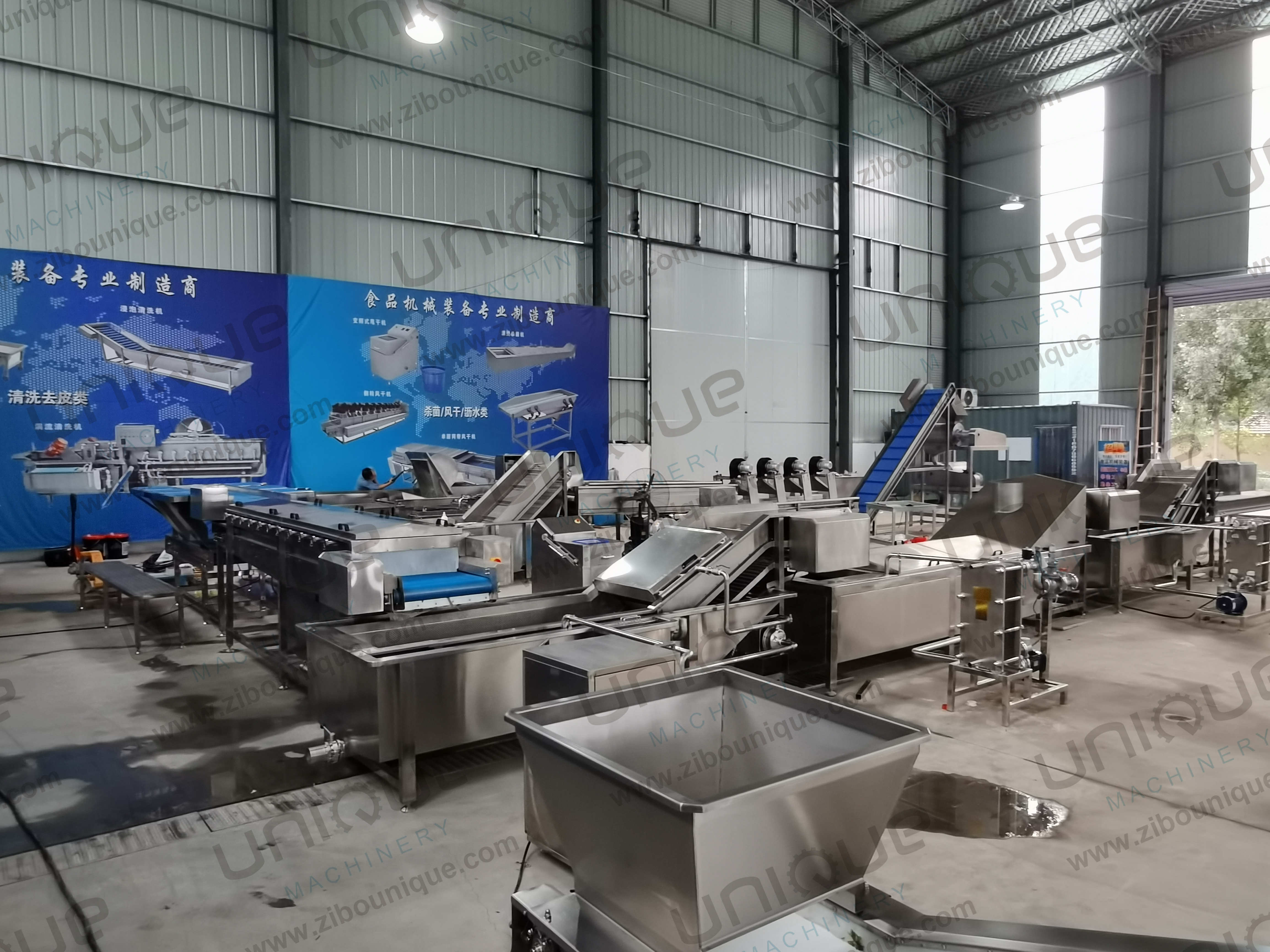 Selecting Fruit And Vegetables Sorting Machine For Dates Splitting