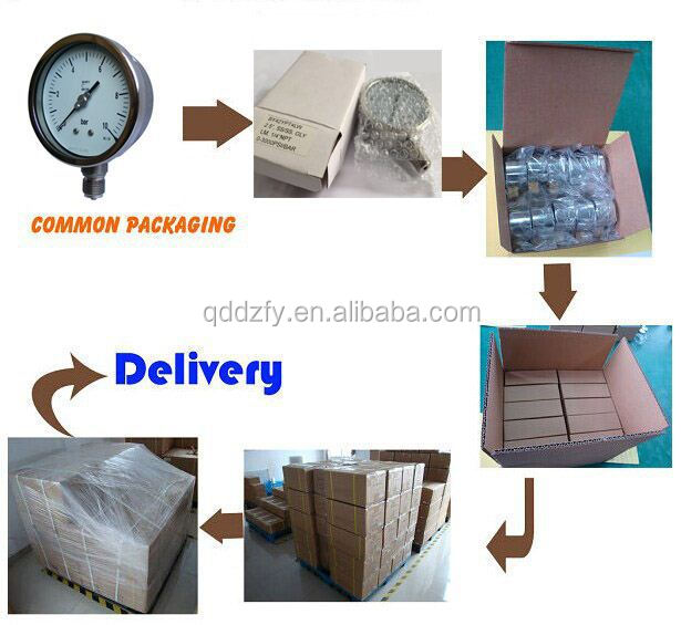 60mm 100mm High Pressure Meter Gauge With Radiating Tube Water
