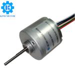 Permanent Magnet 36mm 6vdc 12vdc 24vdc double ball bearings brushless motor