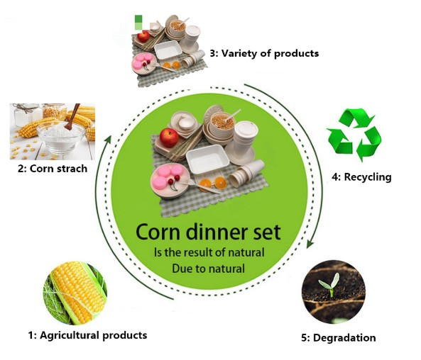 4 Compartment Disposable Corn Starch Tray Biodegradable Food Container