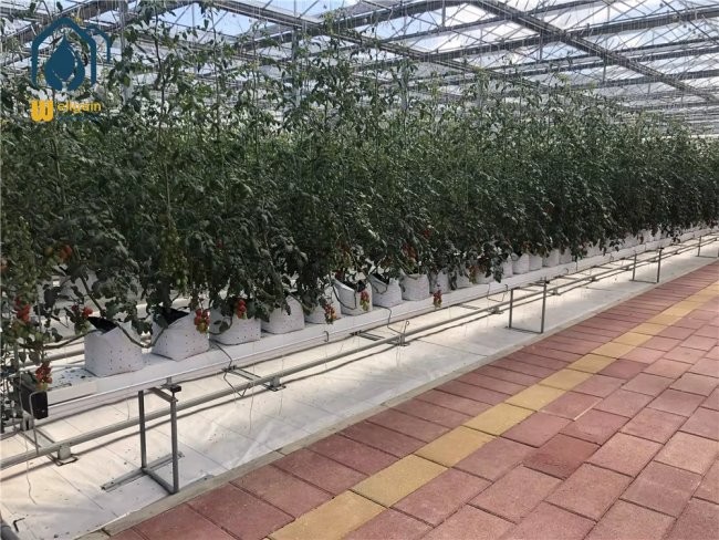 Greenhouse Steel Substrate Planting Gutter Agricultural Hydroponic System For Tomatoes