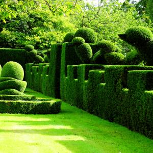 China Stunning Artificial Landscape Trees Garden Decoration Topiary Animal Boxwood Green Plant wholesale