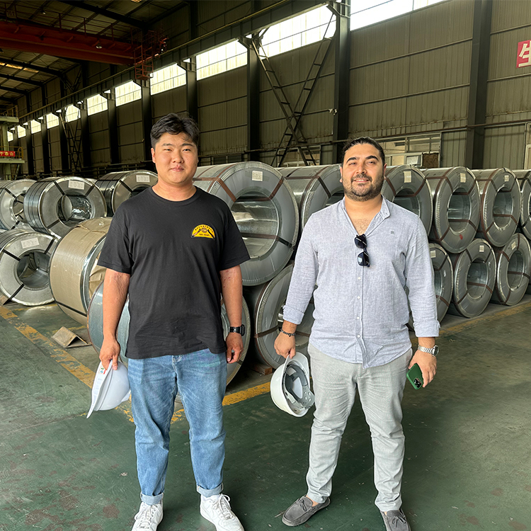 Silver Bright Galvanized Steel High Tensile Line Hot Dipped GI Wire 12 Gauge 4mm Building Materials Free Cutting Steel