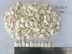 Snow White 99% Purity Pumpkin Seed Pumpkin Seeds Also Have Certain Effect On