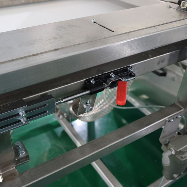 Intelligent Plastic Sorting Equipment 304 Stainless Steel Structure Plastic Product Color Sorting Machine