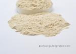 Hamburgers Sandwich Organic HALAL Gluten Protein Powder