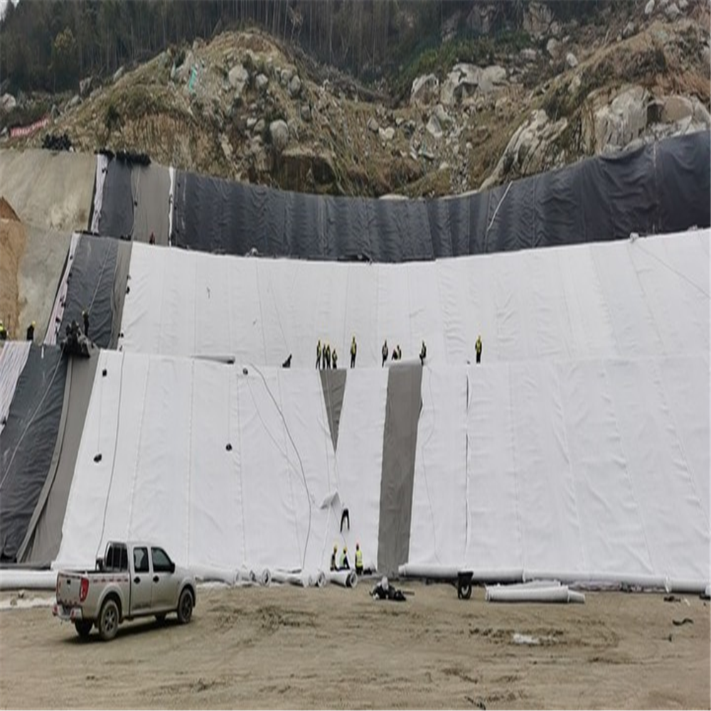 PP PET Geotextile for Landfill Project Non Woven Geo Fabric Needle Punched Sample Free