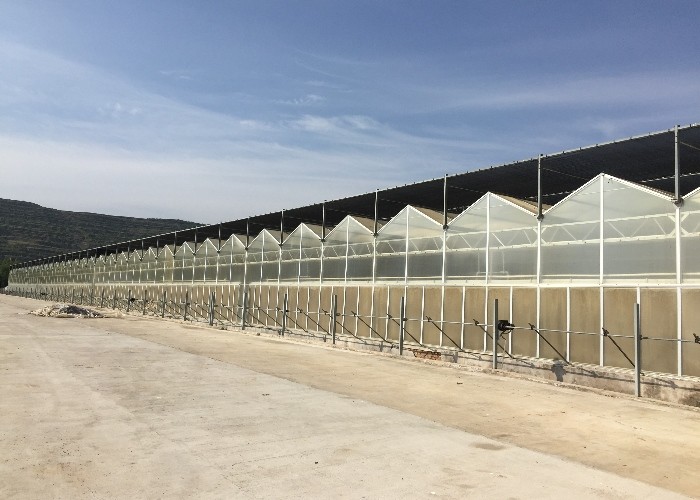 5x4 4x6 4x4 4x2 Polycarbonate Greenhouse Commercial With Tomato Growing System Large Hydroponic