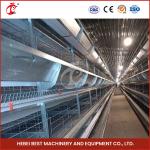 Automatic Poultry Battery Cage System Layer Chicken Steel Cage Rose