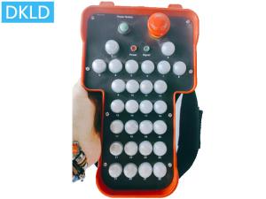 China 28- switch industrial wireless remote control wholesale