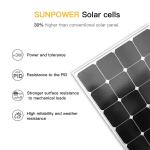 Sunpower OEM Flexible Solar Panel Mounts ETFE 100w 120w 200w