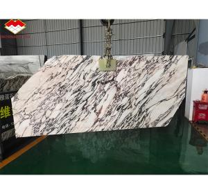 China Modern Purple Calacatta Viola Marble Slabs for Villa Kitchen Countertops in Hotel wholesale