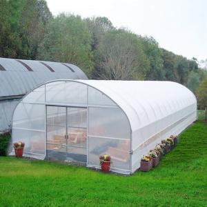 China Hydroponic Growing System Single-Span Tunnel Plastic Film Greenhouse Agricultural wholesale