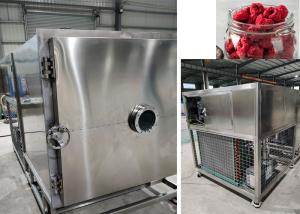China Air Cooled Freeze Dry Fruit Machine Equipment 100kg/batch wholesale