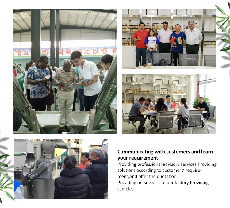 Siemens Motor Commercial Ornamental Fish Feed Pellet Machine for Cat Food Feed Production