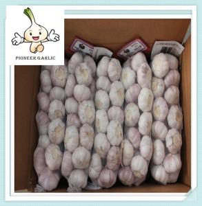 China High quality Fresh Garlic fresh chinese 3p pure white garlic wholesale