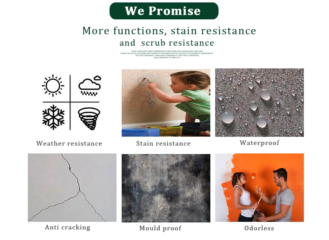 Stone Texture Elastomeric Waterproofing Paint with Crack Resistance and Performance