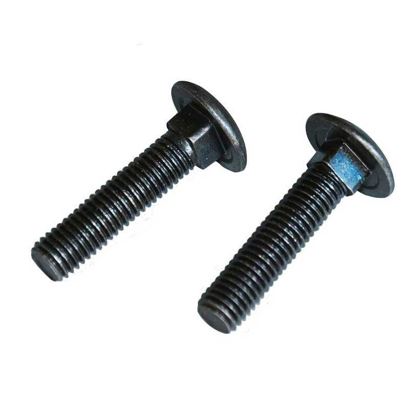 Steel Grade 8.8 DIN603 Large Half Round Head Square Neck Bolt for High Load Capacity