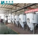 CCT Stainless Conical Tank , Cylindro Conical Stainless Steel 304 Fermenter Easy